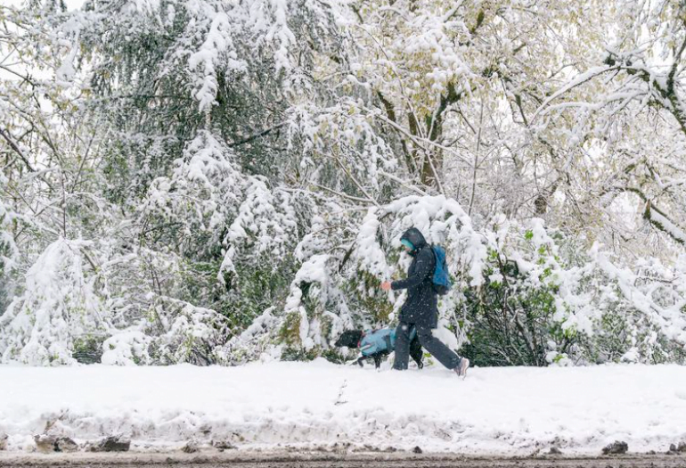 portland-snow portland-snow